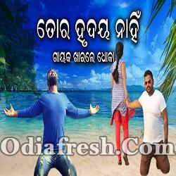 Tora Hrudaya Nahi (PURNENDU)